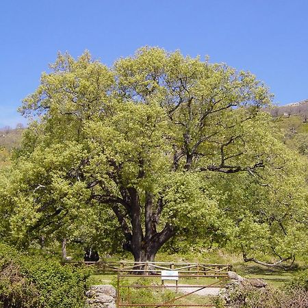 Casa Rural Romanejo Cabezabellosa Kültér fotó