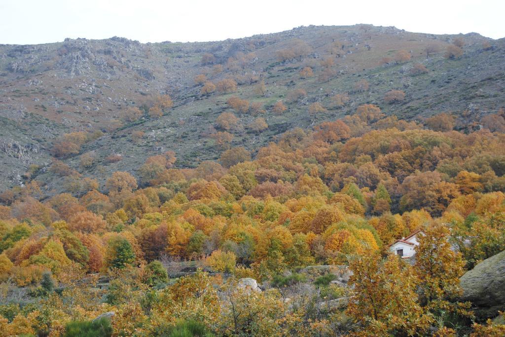 Casa Rural Romanejo Cabezabellosa Kültér fotó