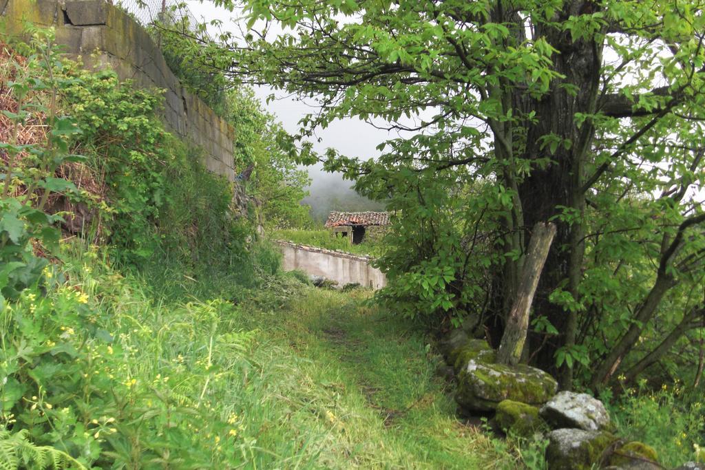Casa Rural Romanejo Cabezabellosa Kültér fotó